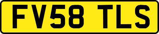FV58TLS