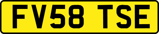 FV58TSE