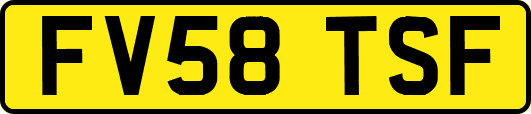 FV58TSF