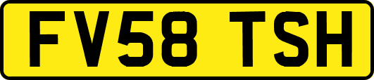 FV58TSH