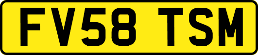 FV58TSM