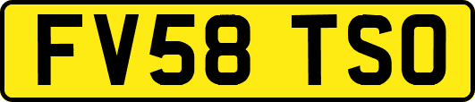 FV58TSO