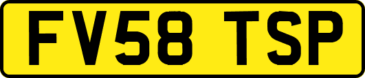 FV58TSP