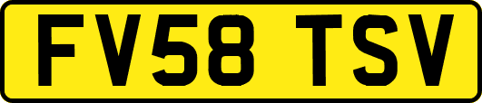 FV58TSV