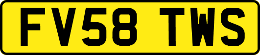 FV58TWS