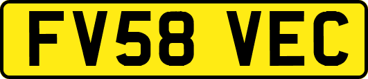 FV58VEC