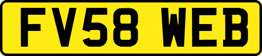 FV58WEB