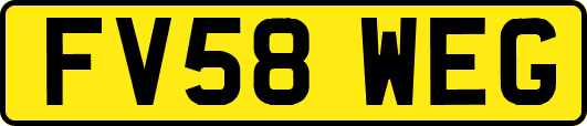 FV58WEG