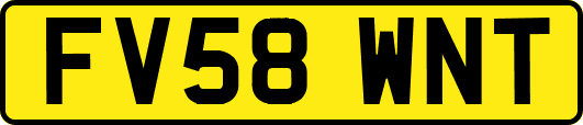 FV58WNT