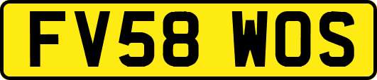 FV58WOS