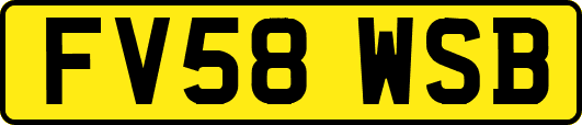 FV58WSB