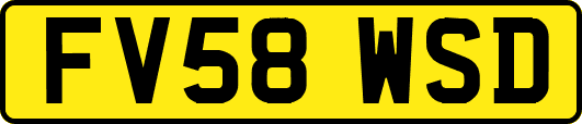 FV58WSD