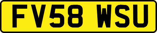 FV58WSU