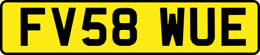 FV58WUE