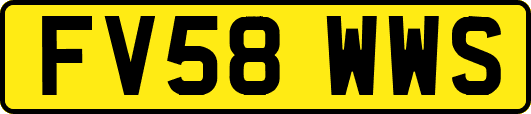 FV58WWS