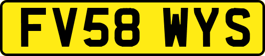 FV58WYS