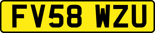 FV58WZU