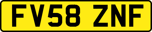 FV58ZNF