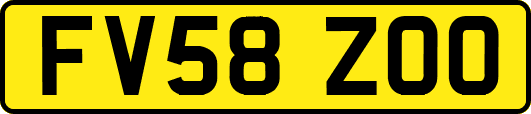 FV58ZOO