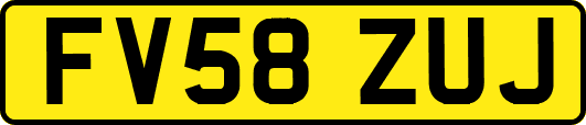 FV58ZUJ