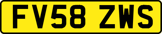 FV58ZWS