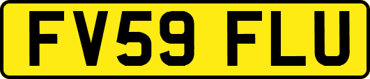 FV59FLU