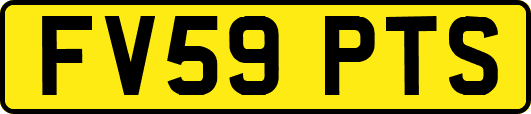 FV59PTS