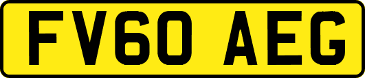 FV60AEG