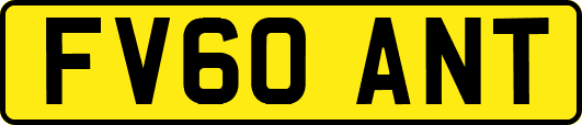 FV60ANT