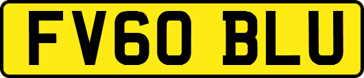 FV60BLU