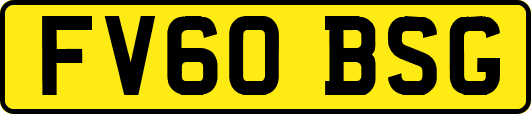 FV60BSG