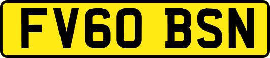 FV60BSN
