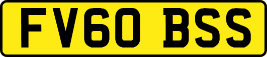 FV60BSS