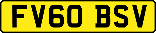 FV60BSV