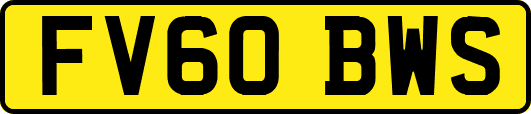 FV60BWS