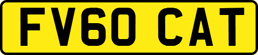 FV60CAT