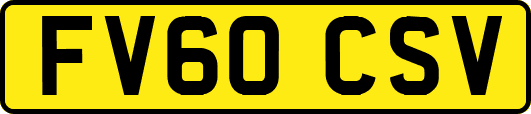 FV60CSV