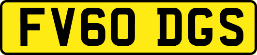 FV60DGS