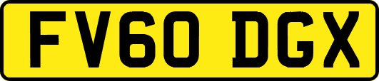 FV60DGX