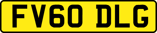 FV60DLG
