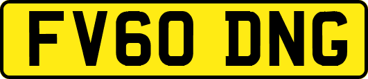 FV60DNG