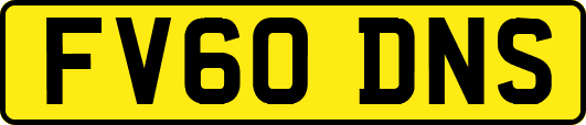 FV60DNS