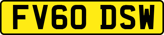 FV60DSW