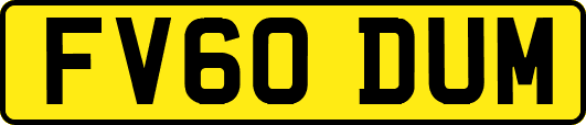 FV60DUM