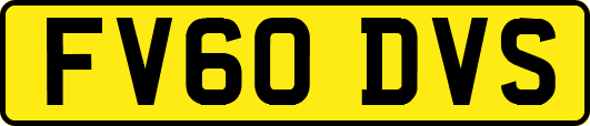 FV60DVS