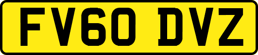 FV60DVZ