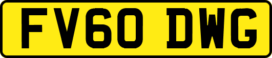 FV60DWG