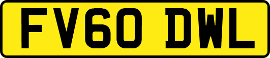 FV60DWL