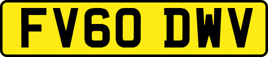 FV60DWV