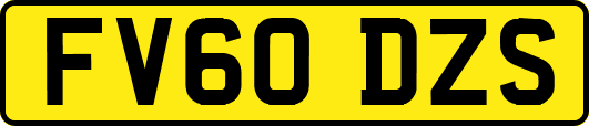 FV60DZS